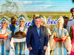 Правительство Ростовской области потратит 700 тысяч из бюджета на 57 хвалебных статей в сети