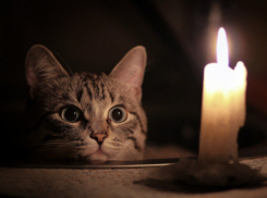 Рабочая неделя начнётся с отключений электричества в Ростове