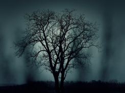 Рассказываем о погоде в Ростове в среду, 8 января