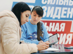 Привлечь молодежь Ростова на выборы избирком запланировал стикерами в Telegram