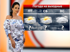 Синоптики прогнозируют теплые и пасмурные выходные в Ростове
