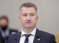 Устроивший дебош на борту самолета и вспомнивший про родину перед выборами ростовский депутат Антон Гетта собрался вновь попасть в думу
