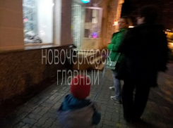 Мать выгуливала ребенка на поводке в Новочеркасске 
