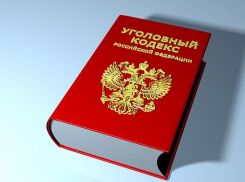 На молодых девушек, готовящих теракт в торговом центре Ростова, возбудили уголовное дело