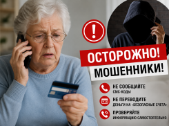 Пожилая ростовчанка отдала аферистам 1,1 млн рублей ради «денежной экспертизы»