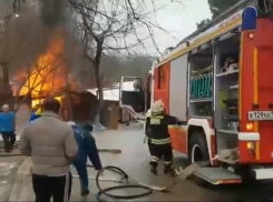 В Ростове-на-Дону горит Ботанический сад