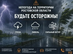 Ливни с грозами накроют Ростовскую область в течение суток