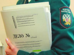 Гендиректор мясного производства под Ростовом обманул государство на 71 млн рублей