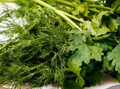 «Пригласить весну в дом»: выращиваем зелень на балконе