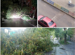 Поваленные деревья, разбитые машины: на Ростов налетел сильный шторм