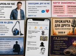 Парень на час, енот в гости и профессиональный стукач: топ самых странных услуг в Ростове 