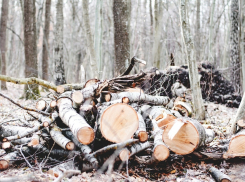 В Ростовской области директор госучреждения «погорел» на взятке в 1,5 млн рублей