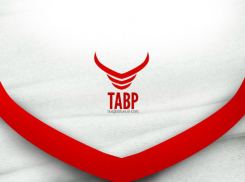 Амбициозный мужской гандбольный клуб «Тавр» решили создать в Ростове