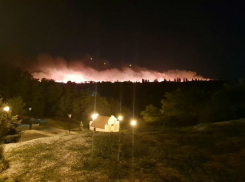 Под Ростовом выгорела часть природного парка «Донской»