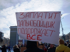 В Ростове состоялся митинг против системы «Платон»