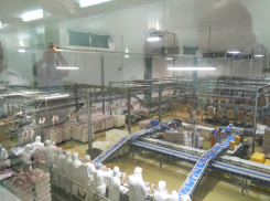 Активы «Евродона» могут уйти совместному предприятию его конкурентов