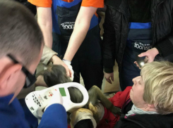 Редкими видами обезьян пополнился ростовский зоопарк благодаря таможне 