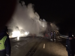 Два человека заживо сгорели в ДТП под Ростовом
