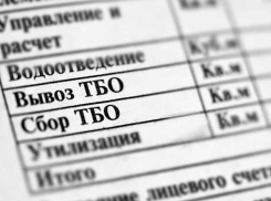 Регоператоры Ростовской области: отмена пени за вывоз отходов платежи не отменяет