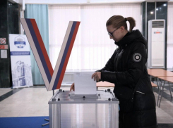 В Ростовской области Путин набрал 90,94% голосов избирателей