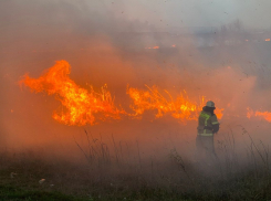 Пожар на левом берегу Дона в Ростове начался недалеко от ресторана «Ближняя дача»