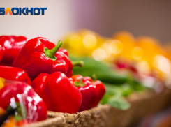 В Аксайском районе построят большой овощной рынок к 2025 году