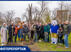 В Ростове отметили 115-летие праздника древонасаждения: горожане и профессионалы высадили более 100 деревьев в парке Пионерский