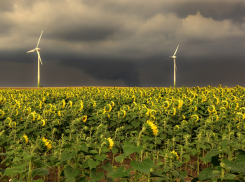 Синоптики обещают грозы и жару в Ростове в среду