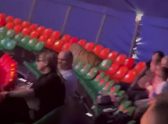 После инцидента с тигром в цирке Ростова возбудили уголовное дело