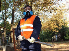 В Ростовской области ветеринары получили новую спецодежду