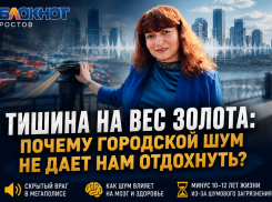 Тишина на вес золота: почему городской шум не дает нам отдохнуть? 