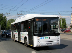 Изменение маршрутов автобусов Ростова: общественный транспорт будет ездить по-новому