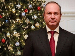  Успехи Ростова в демографии, спорте и трудовой занятости отметил Виталий Кушнарев в своем новогоднем поздравлении