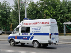 Взрывоопасную находку обнаружили в лесу жители Ростовской области