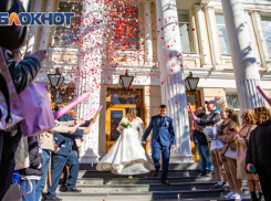 В Ростовской области зарегистрировали более 140 тысяч пар за год 