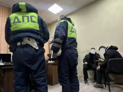 В Ростове задержали причастных к демонтажу детской площадки в парке имени Фрунзе