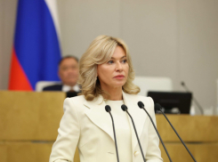 В Ростове депутат ГД Стенякина предложила убрать аборты за счет ОМС