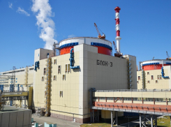 На Ростовской АЭС при пожаре 31 декабря погиб один человек