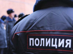 Ростовские депутаты планируют через суд обязать полицейских исполнять региональные законы