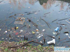 Большинство водоемов Ростова-на-Дону сильно загрязнено