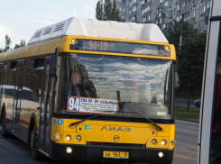В Ростове перевозчик «Ипопат-Юг» перестал работать на городских маршрутах с 21 ноября