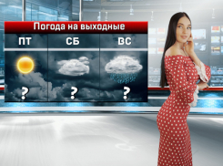 На выходных в Ростове будет морозно и ветрено