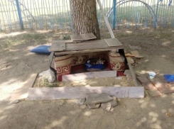 Евроремонт для уличного потеряшки сделали добрые ребятишки в Ростовской области