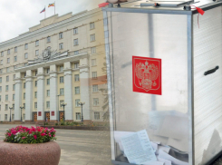Прикрываясь заботой о жителях: почему проведение выборов в Ростовской области в три дня не имеет смысла