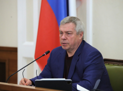 Губернатор Ростовской области рассказал об антикризисных мерах поддержки донского бизнеса 