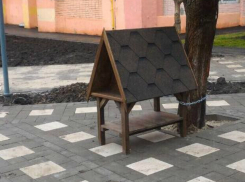 Котодомики установили в одном из ростовских дворов заботливые коммунальщики