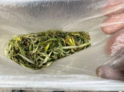 В Ростовской области у мужчины нашли наркотики, спрятанные в черном свертке 