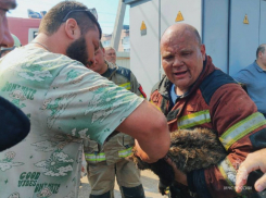 В Ростовской области произошло около 300 пожаров за прошедшую неделю 