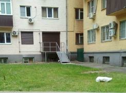 Невидимкой для властей стал владелец шикарных хором в Ростове