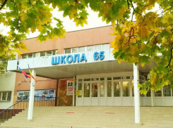 Школа из Ростова попала в рейтинг учебных заведений России с самыми опасными дорогами поблизости